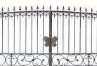 Reedy Lakewrought-iron-fencing-10.jpg; ?>